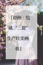 邓州：绘就“三夏”生产壮美画卷